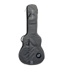 SACO GUIT ELECT RITTER RGC 3-SA/EGR - RITTER