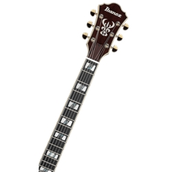 GUIT ELECT IBANEZ AS-113BS - IBANEZ