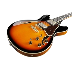 GUIT ELECT IBANEZ AS-113BS - IBANEZ
