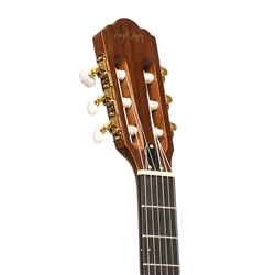 GUIT ELECT ACUST ANGEL LOPEZ EC-3000 MAHO N - STAGG