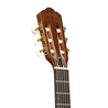 GUIT ELECT ACUST ANGEL LOPEZ EC-3000 MAHO N - STAGG