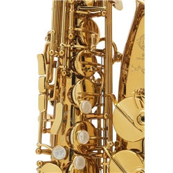 SAX ALTO SELMER SUPREME GOLDMESSING GRAVADO - SELMER