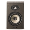MONITOR FOCAL SHAPE 65 - FOCAL