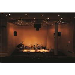 SHURE KSM-137 SL - SHURE