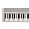 TECLADO CASIO CT-S1WE - CASIO