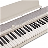 TECLADO CASIO CT-S1WE - CASIO