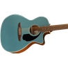 GUIT ELECT ACUST FENDER NEWPORTER PLAYER TPL WN - FENDER