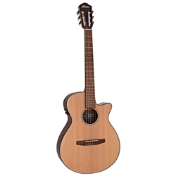 GUIT ELECT ACUST IBANEZ AEG50N-NT - 135118995