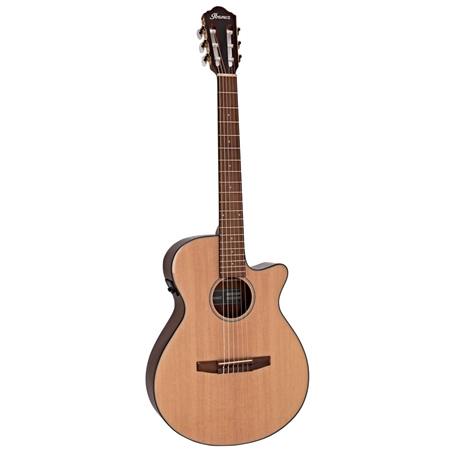 GUIT ELECT ACUST IBANEZ AEG50N-NT - IBANEZ