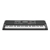 TECLADO CASIO CT-X3000 - CASIO