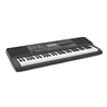TECLADO CASIO CT-X700 - CASIO