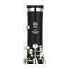CLARINETE YAMAHA YCL-255ES 18/6 CH - YAMAHA