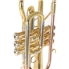 CORNETIM ROY BENSON CR-202 - ROY BENSON