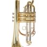 CORNETIM ROY BENSON CR-202 - ROY BENSON