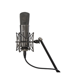 MICROFONE WARM AUDIO WA-87 R2 TS - WARM AUDIO