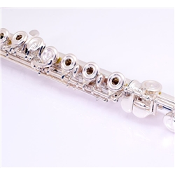 FLAUTA TRANSV MIYAZAWA - MJ-II 20RE - MIYAZAWA