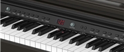 PIANO DIGITAL RINGWAY TG-8852  CASTANHO - RINGWAY