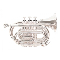 TROMPETE ROY BENSON PT-101S POCKET - 155515833