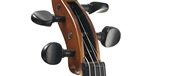 VIOLA DE ARCO STENTOR STUDENT II SH 15" - STENTOR