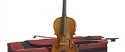 VIOLA DE ARCO STENTOR STUDENT II SH 15" - STENTOR
