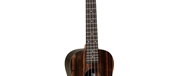 UKULELE TANGLEWOOD TENOR TWT-19 - TANGLEWOOD