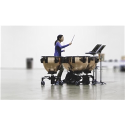 TIMPANO ADAMS REVOLUTION COBRE MARTELADO 20" - ADAMS