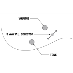 GUIT ELECT IBANEZ RG-8570 RBS J. CUSTOM - IBANEZ
