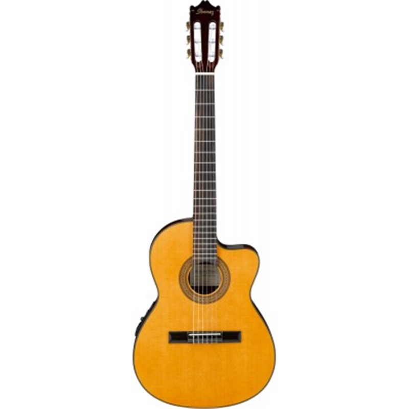 GUIT ELECT ACUST IBANEZ GA5TCE-AM - IBANEZ