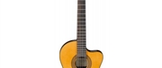GUIT ELECT ACUST IBANEZ GA5TCE-AM - IBANEZ