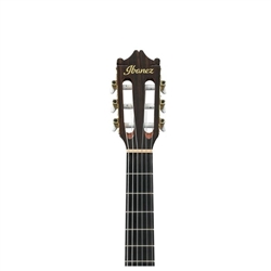 GUIT ELECT ACUST IBANEZ GA5TCE-AM - IBANEZ