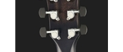 GUIT ELECT ACUST IBANEZ AEWC400-TKS - IBANEZ
