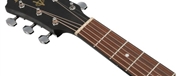GUIT ELECT ACUST IBANEZ VC-44CE WK - IBANEZ