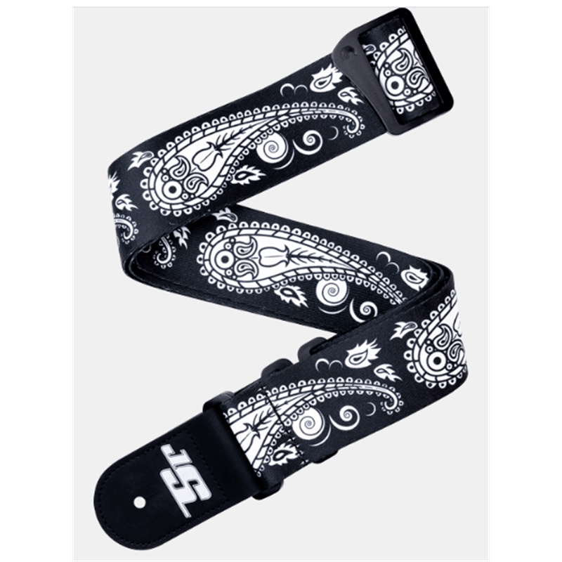 CORREIA GUIT D ADDARIO 50JSSV17 - D´ADDARIO