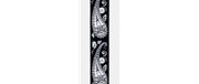 CORREIA GUIT D ADDARIO 50JSSV17 - D´ADDARIO