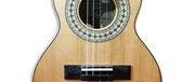 CAVAQUINHO BRASILEIRO ARTIMUSICA CV50C - ARTIMUSICA