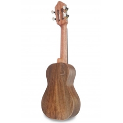 CAVAQUINHO APC 103 ELECTRIFICADO - APC