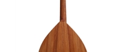 BANDOLIM ARTIMUSICA BD BASE - ARTIMUSICA