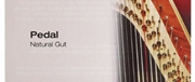 CORDA HARPA 1ªOITAVA Nº5 TRIPA PEDAL - BOW BRAND