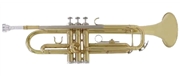 TROMPETE AMADEUS TR-600 - AMADEUS