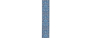 CORREIA GUIT D ADDARIO 50 RW08 - D´ADDARIO