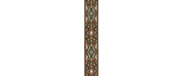CORREIA GUIT D ADDARIO 50 RW010 - D´ADDARIO