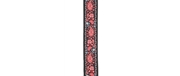 CORREIA GUIT D ADDARIO 50 E08 - D´ADDARIO