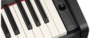 PIANO DIGITAL YAMAHA YDP-166 BLK - YAMAHA