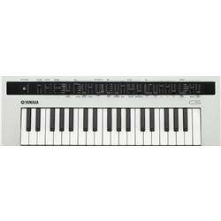 SINTETIZADOR YAMAHA REFACE CS - YAMAHA